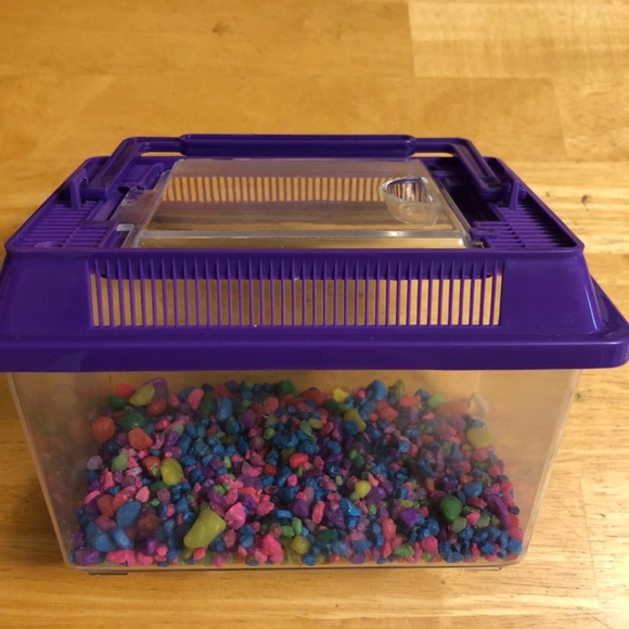 Hermit Crab Cage - Picture 1 of 3